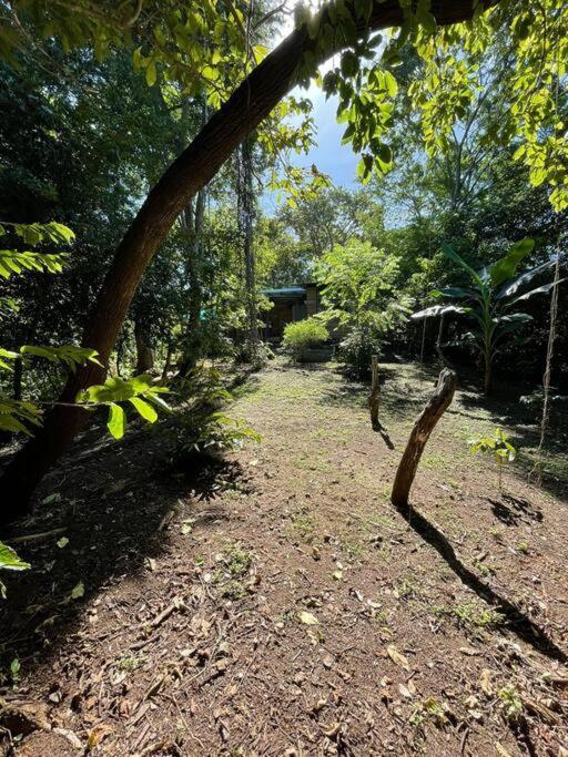 Magica Cabana En Medio Del Bosque En Isla Venado Βίλα Lepanto Εξωτερικό φωτογραφία