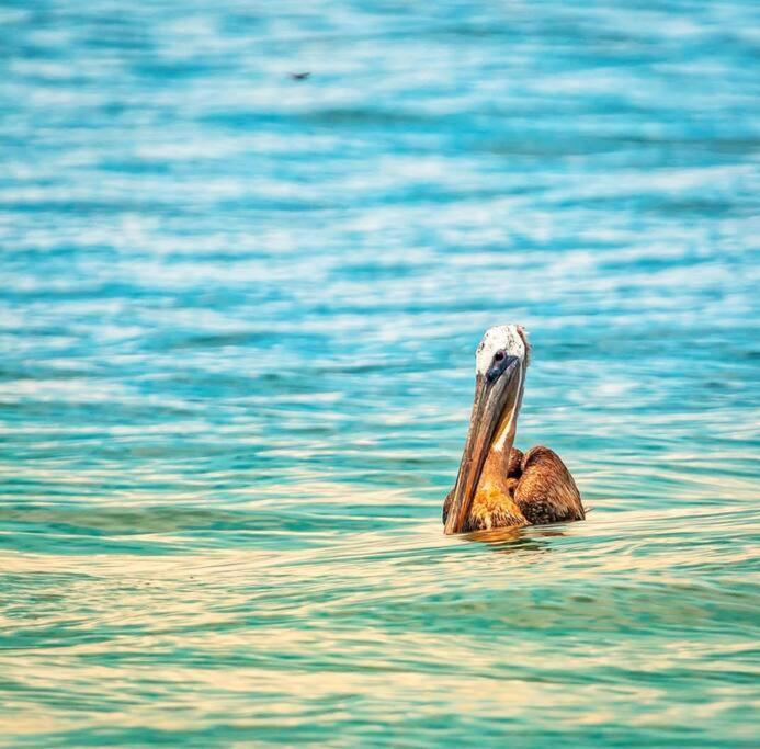 Magica Cabana En Medio Del Bosque En Isla Venado Βίλα Lepanto Εξωτερικό φωτογραφία