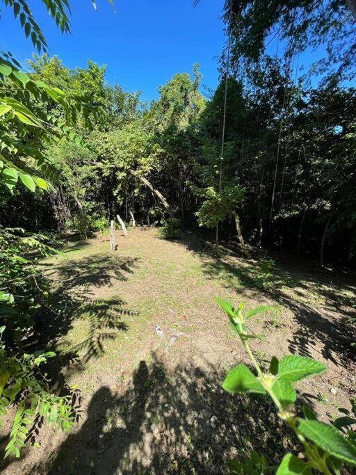 Magica Cabana En Medio Del Bosque En Isla Venado Βίλα Lepanto Εξωτερικό φωτογραφία